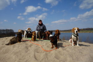 Dogwalker Hundesitter Leipzig mit Hundegruppe 