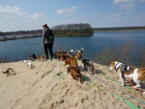 Hunde Leipzig Strand Baden